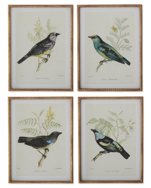 Bird Print in Twisted Gold Frame – Treehouse On Main