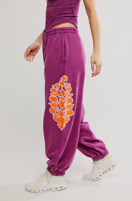 Free People All Star Embroidered Pants
