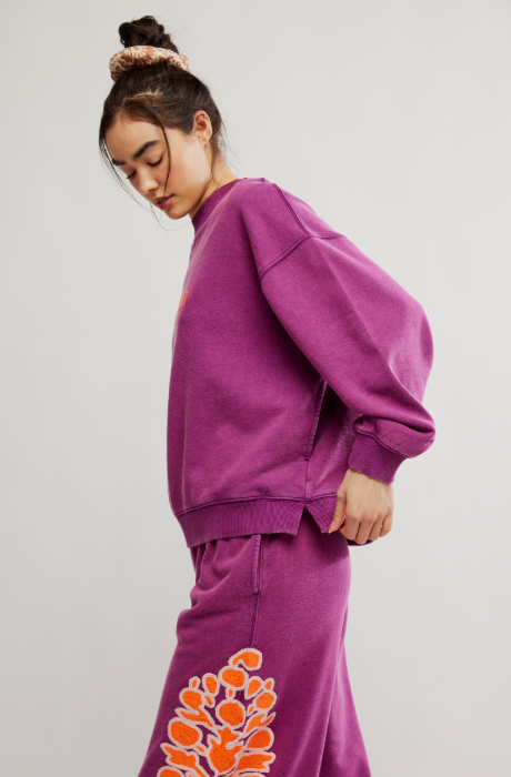 Free People All Star Embroidered Pullover