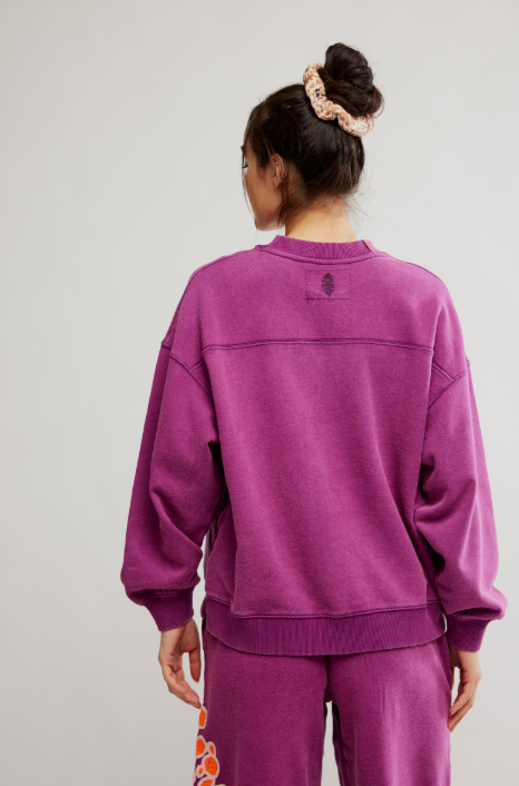 Free People All Star Embroidered Pullover