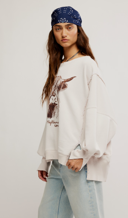 Free People Graphic Camden Pullover
