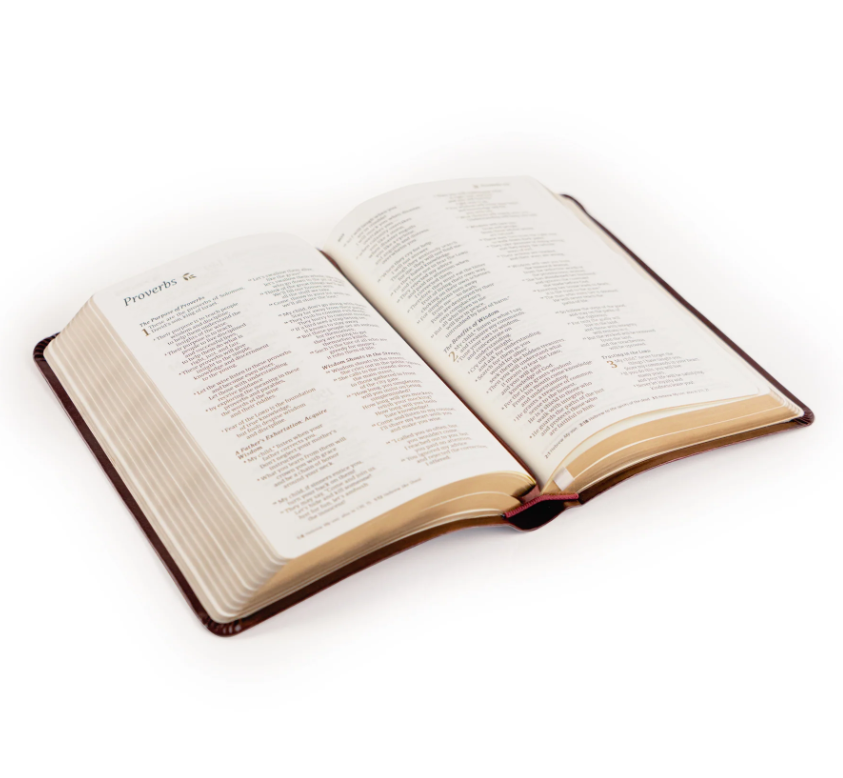 Hosanna Revival NLT Compact Bible - Yorkshire