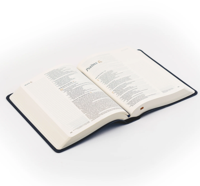 Hosanna Revival NLT Notetaking Bible - Versailles
