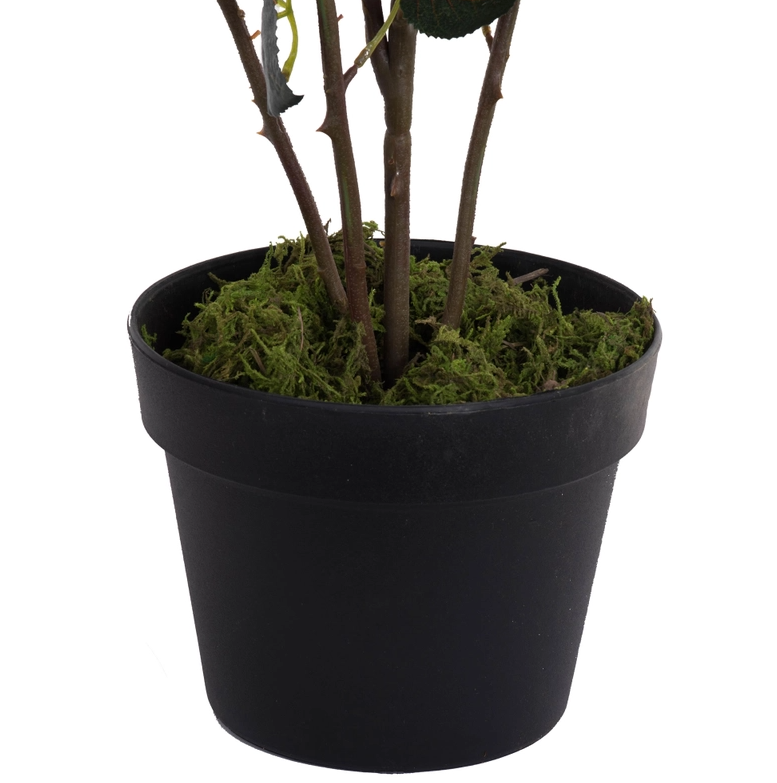 45" Potted Pink Rose Bush