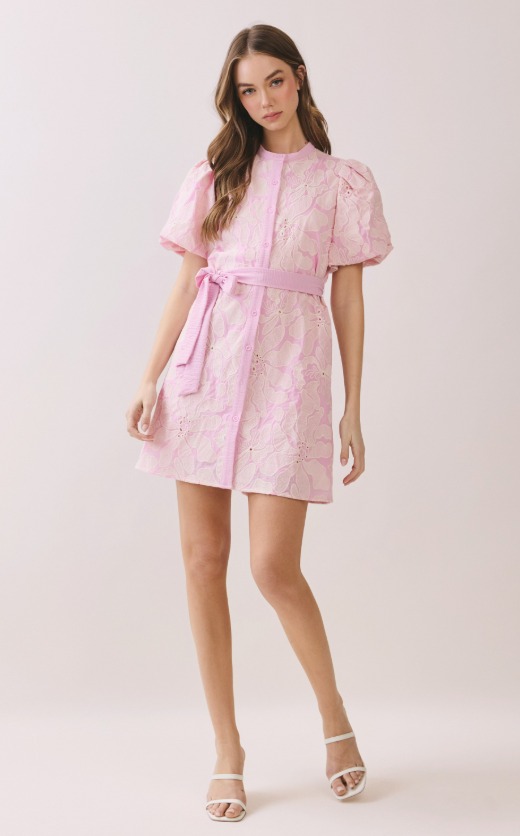 Opal Floral Eyelet Pattern Mini Dress