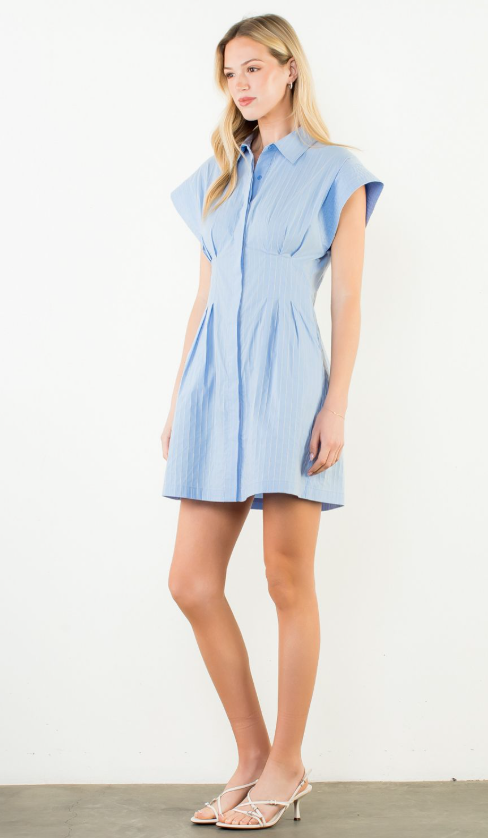 Lillis Striped Button Down Dress