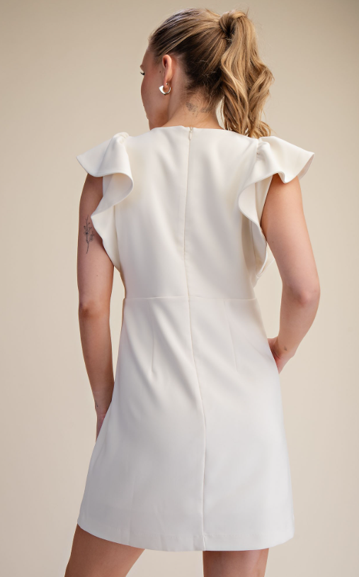 Sol Ruffle Sleeve Mini Dress