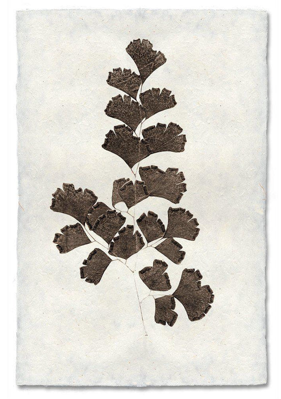 Nepalese Handmade Print - Leaf Study #3