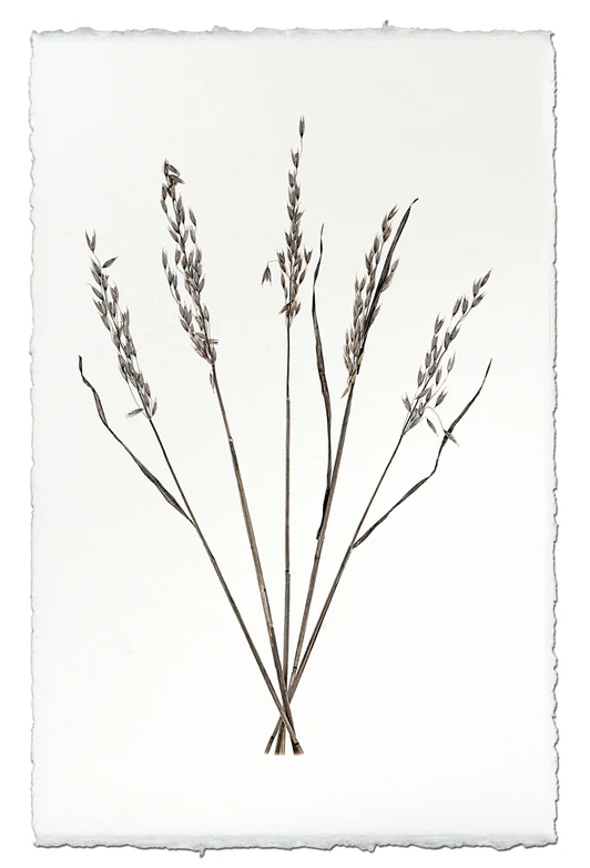 Nepalese Handmade Print - Oat Form