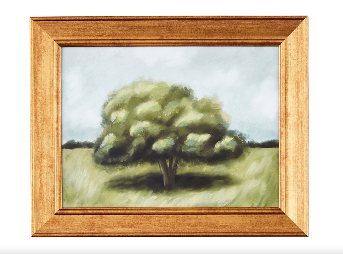 Landscape Framed Canvas Print