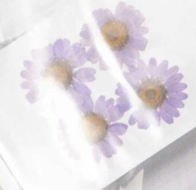 Pressed Botanical Collection