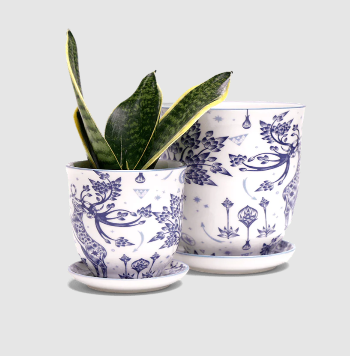 Liberte Porcelain Pot And Saucer Set