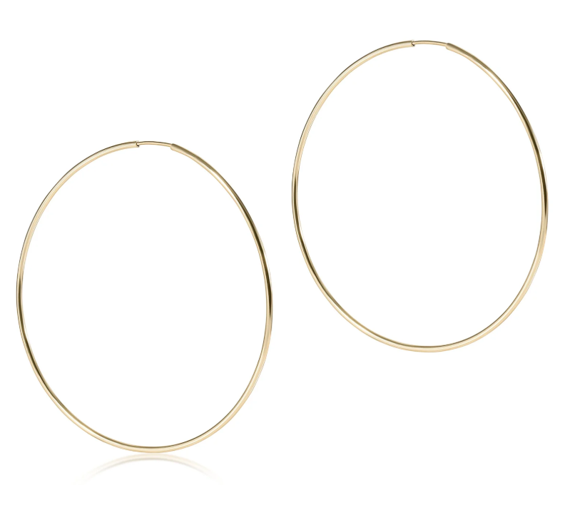 E Newton Endless Hoop