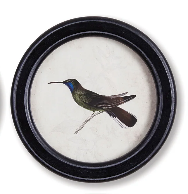 Hummingbird Round Petite Prints – Treehouse On Main