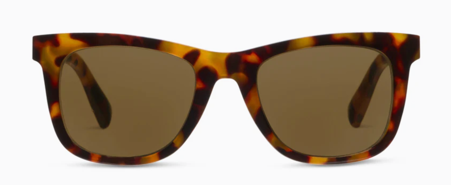 Peeper's Harbor Polarized (Bifocal) Sunglasses