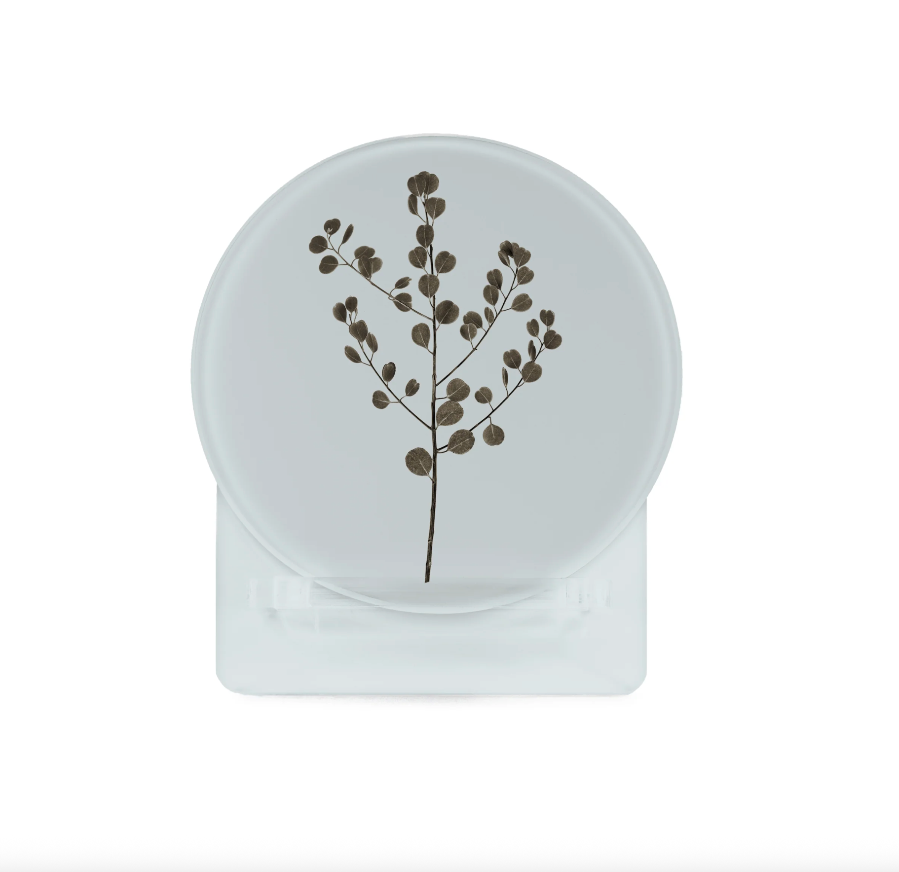 Glass Coasters - Eucalyptus (Set of 4)