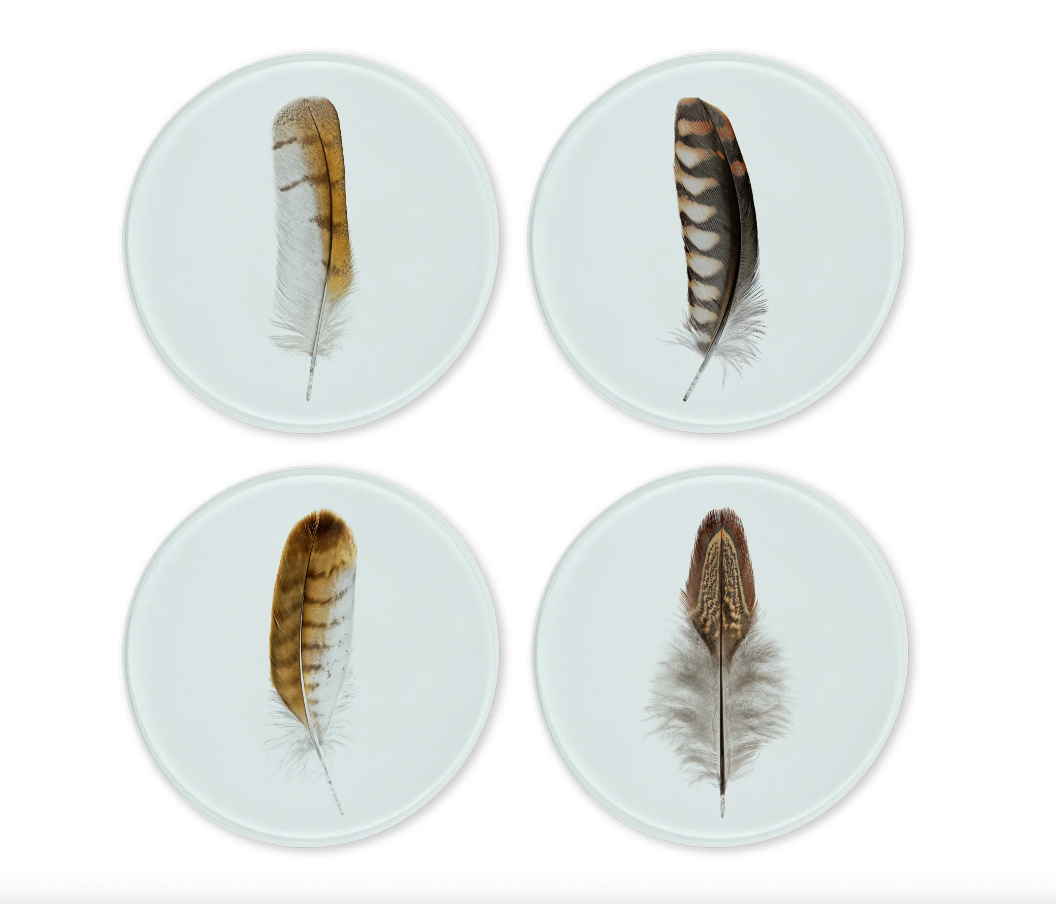 Glass Coasters - Colored Feathers (Set of 4)