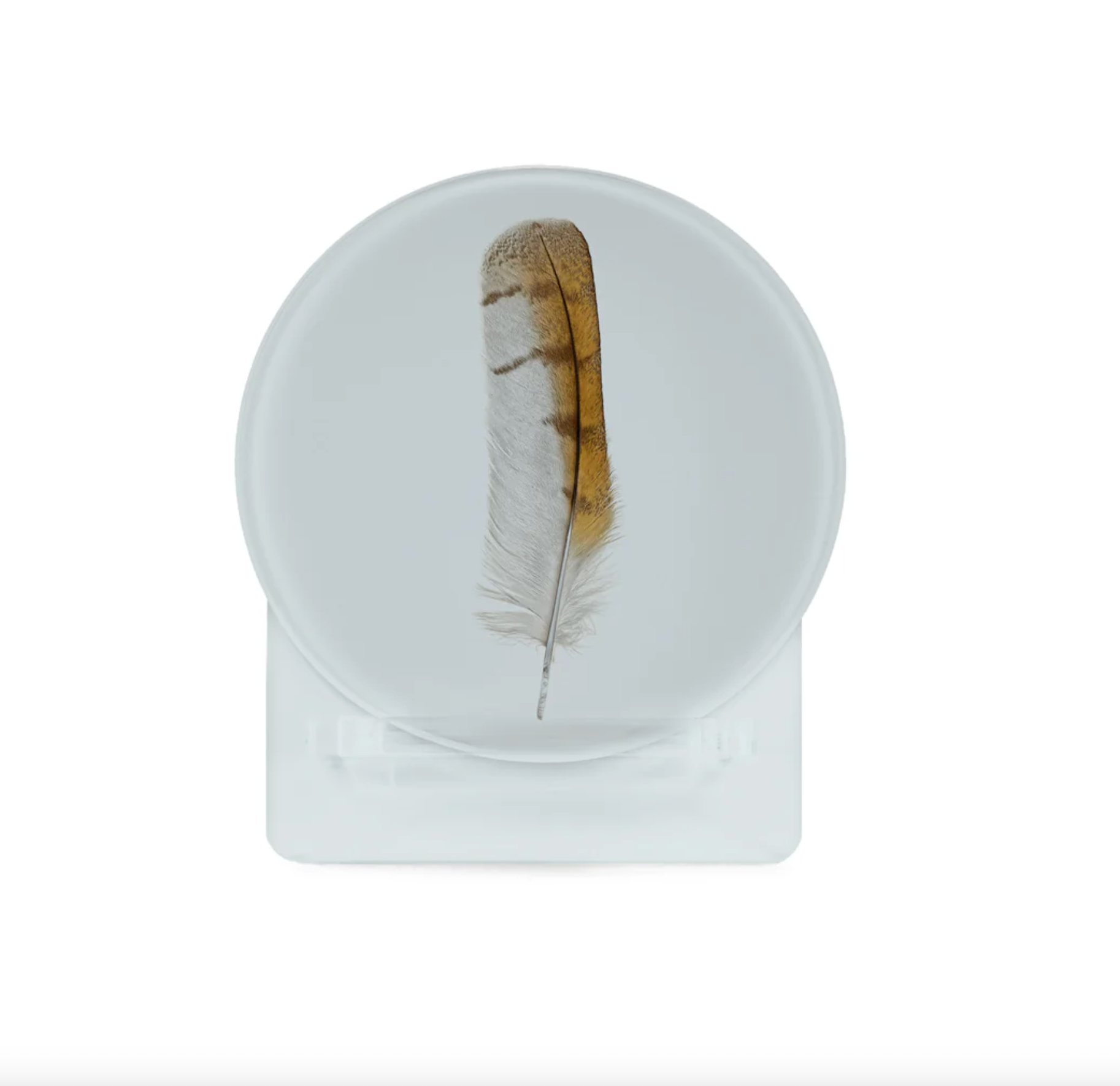 Glass Coasters - Colored Feathers (Set of 4)