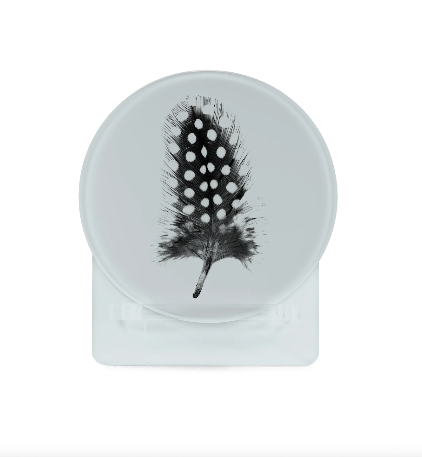 Glass Coasters - Feather (Set of 4)