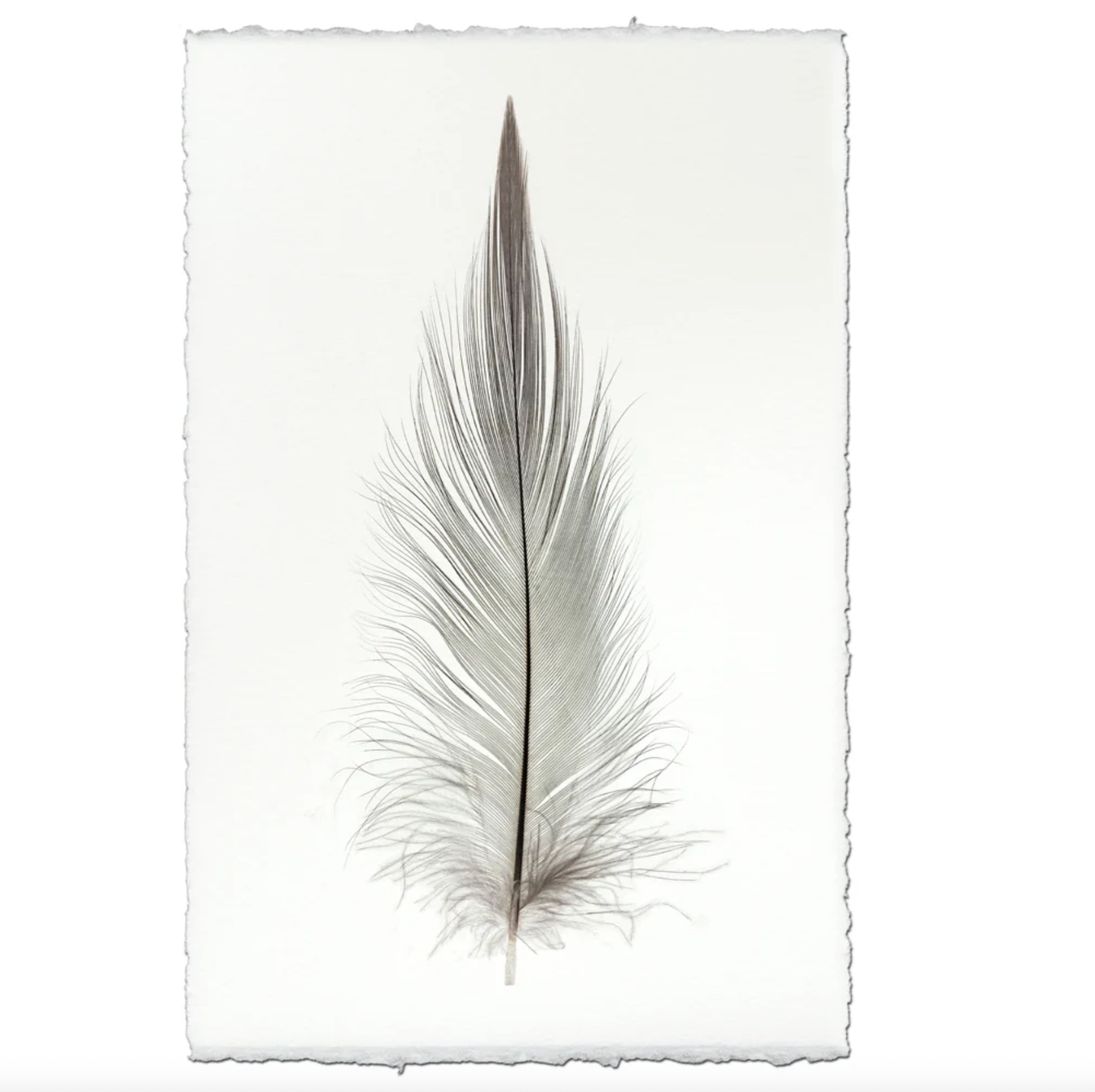 Nepalese Handmade Print - Heron