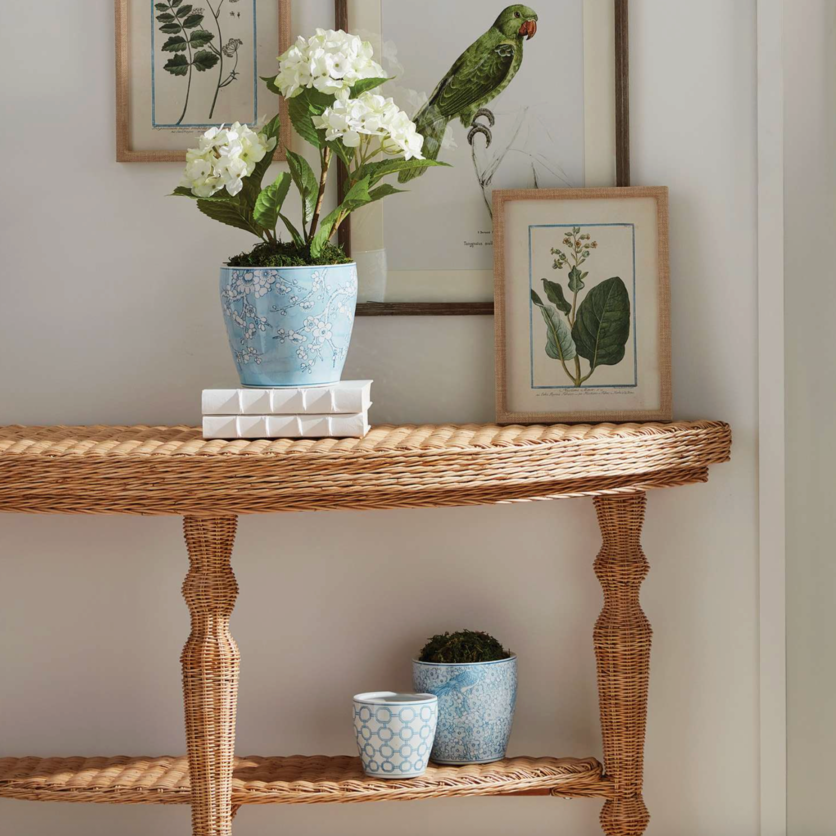Monarch Flower Pots
