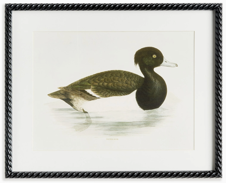 Wading Duck Prints