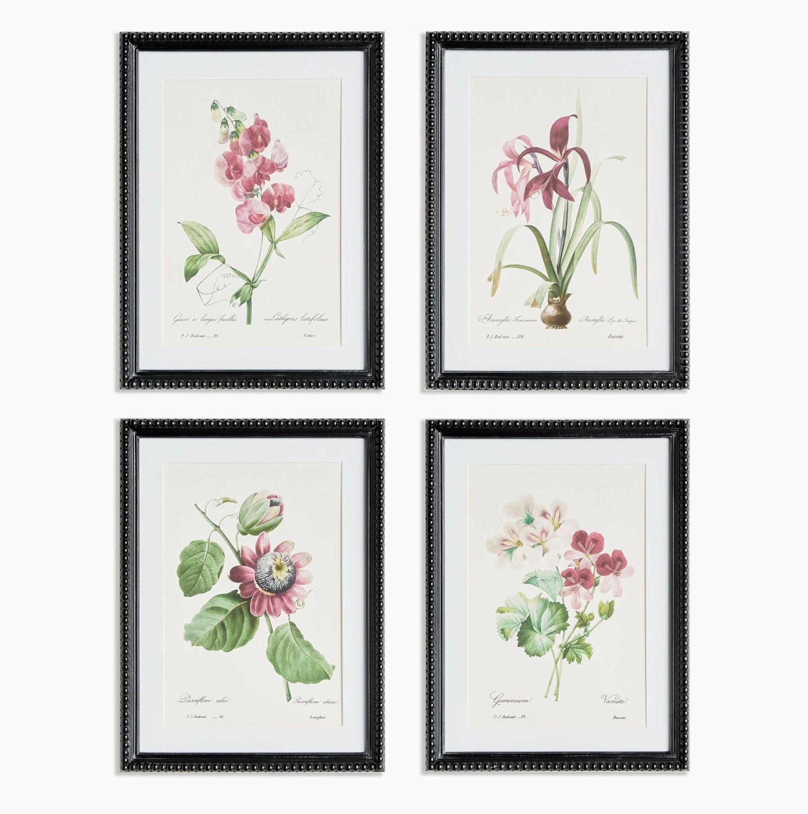 Blush Blooms Study