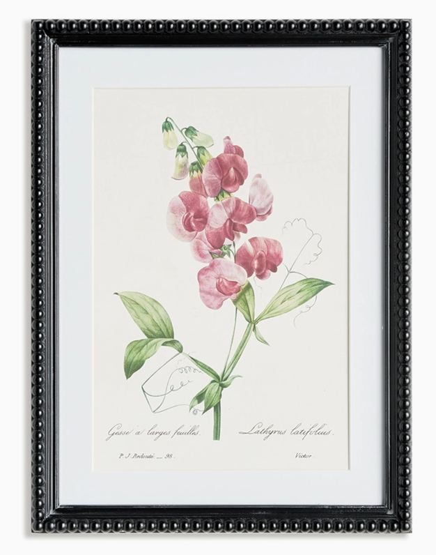 Blush Blooms Study