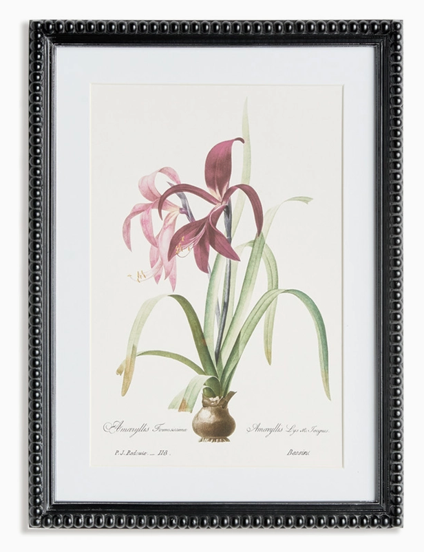 Blush Blooms Study