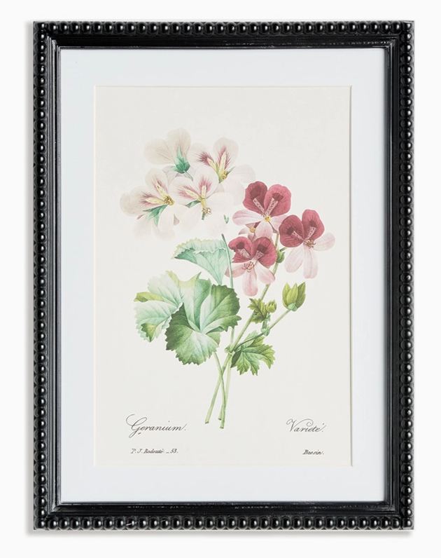 Blush Blooms Study