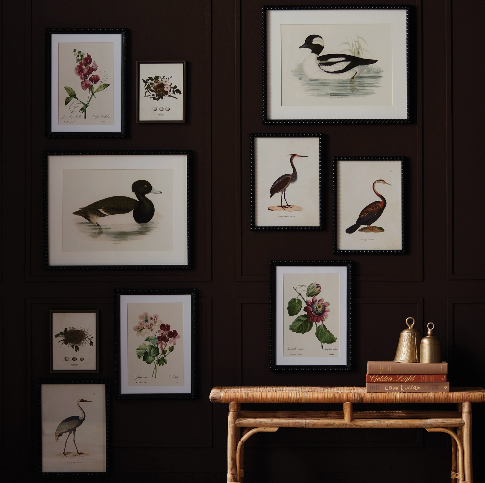 Bird Nest Study
