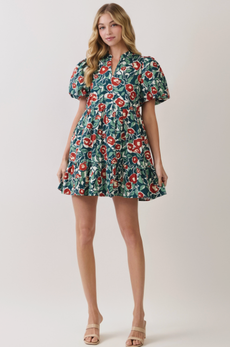 Taylor Dress