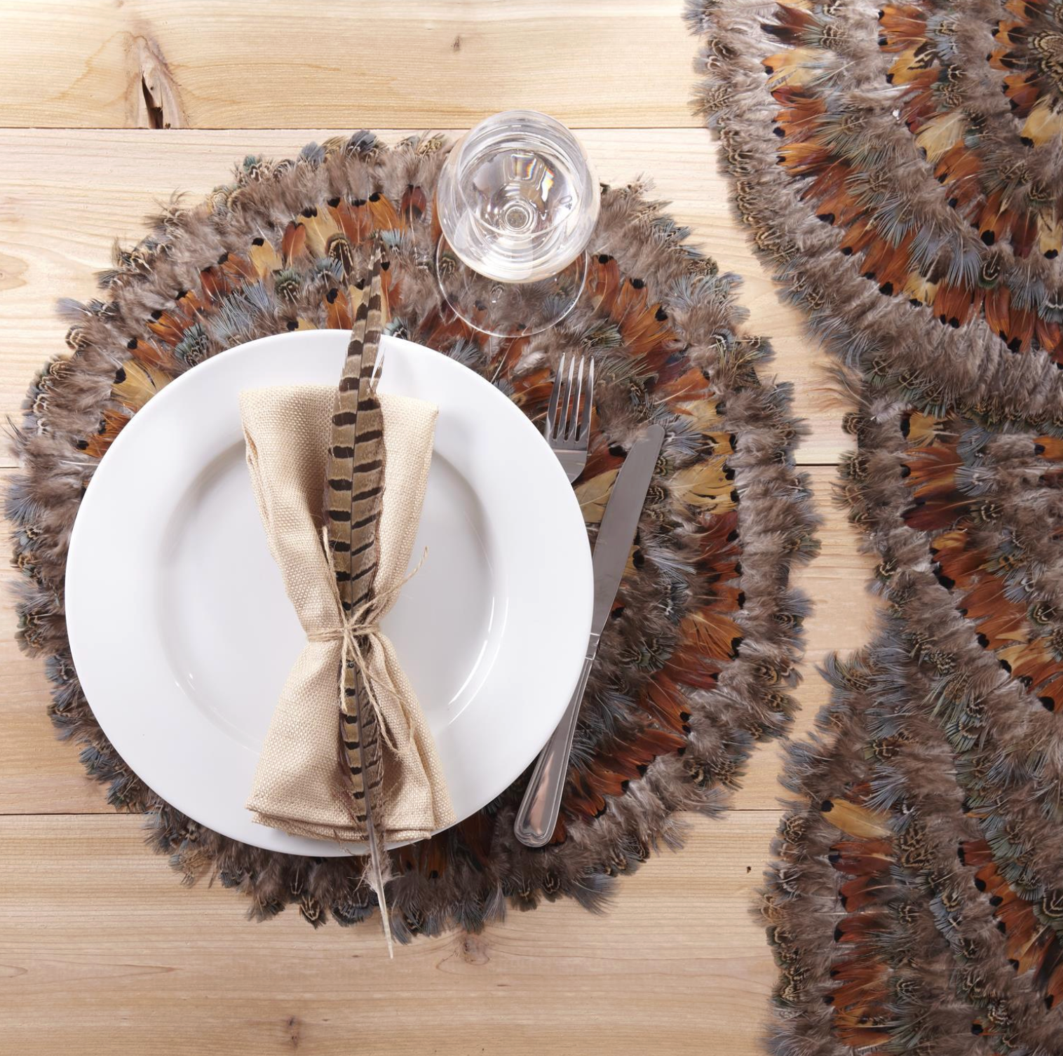 Pheasant Feather Placemats - Set of 4