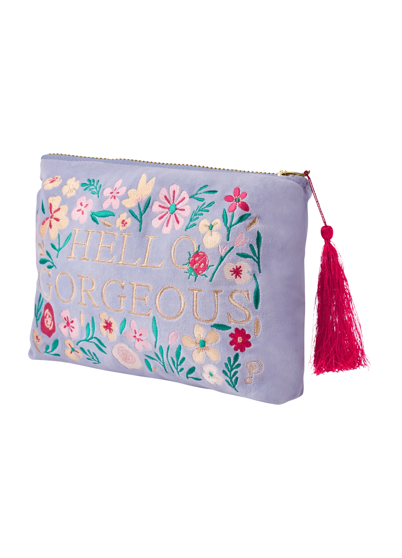 Hello Gorgeous Velvet Embroidered Pouch