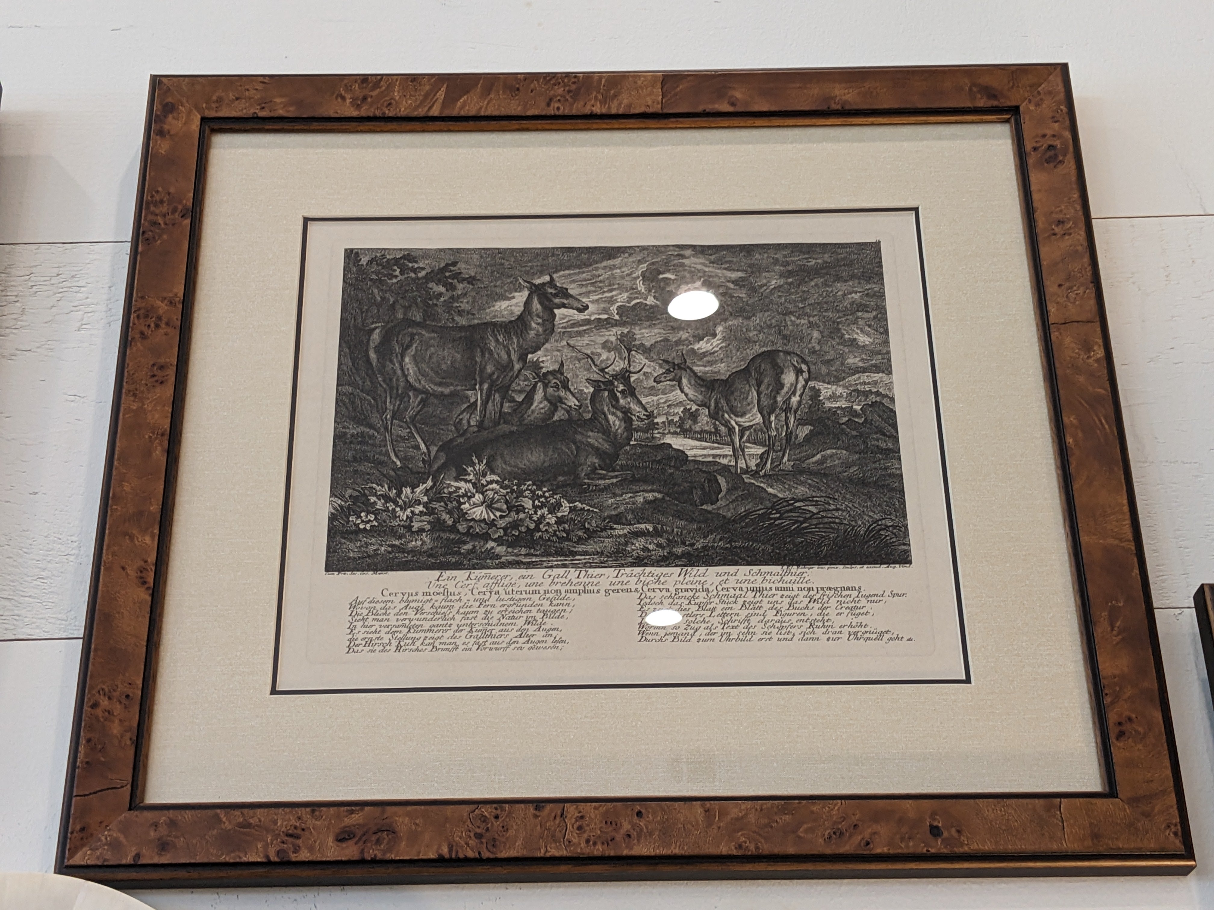 Ridinger Deer Custom Framed Print