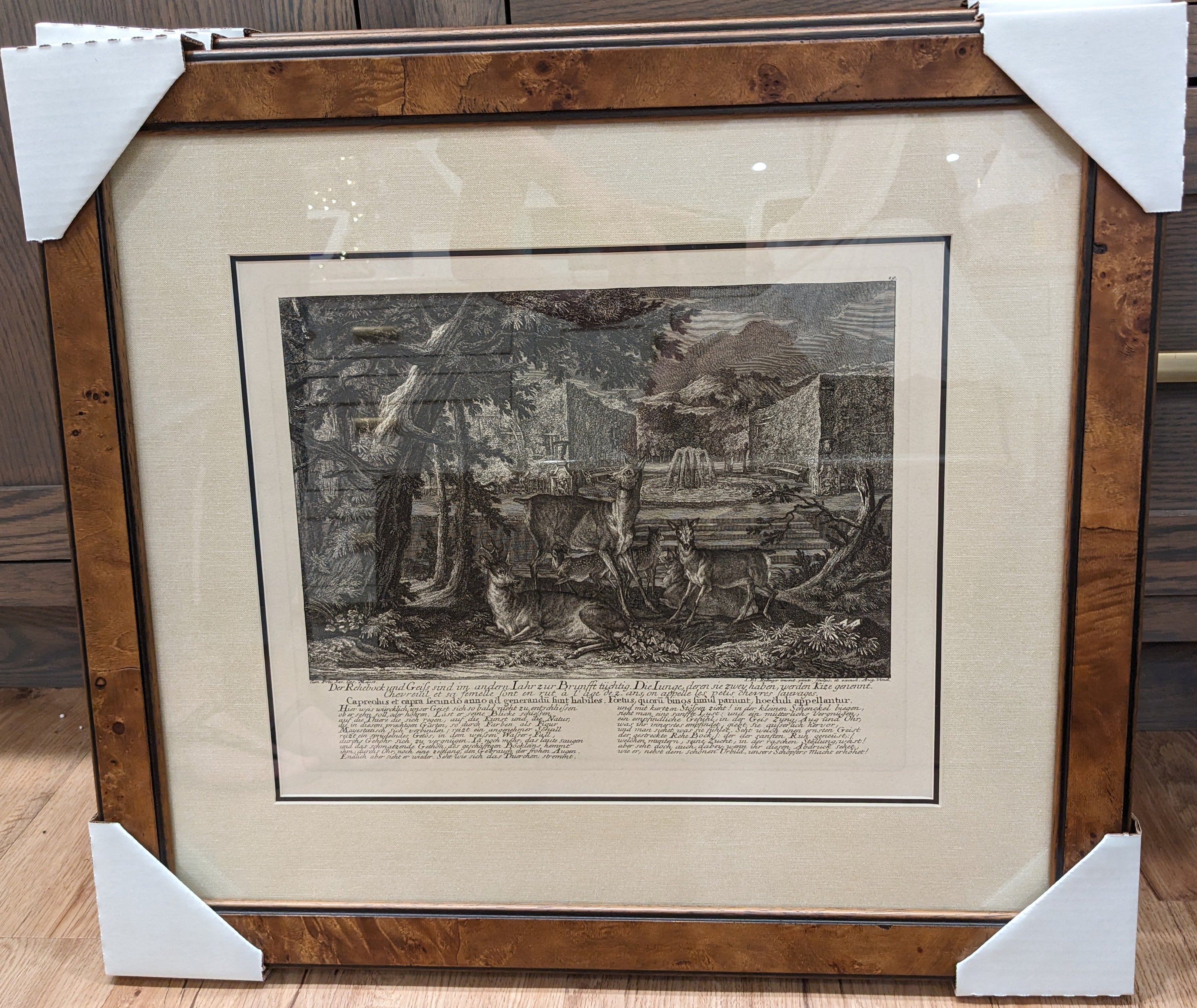 Ridinger Deer Custom Framed Print