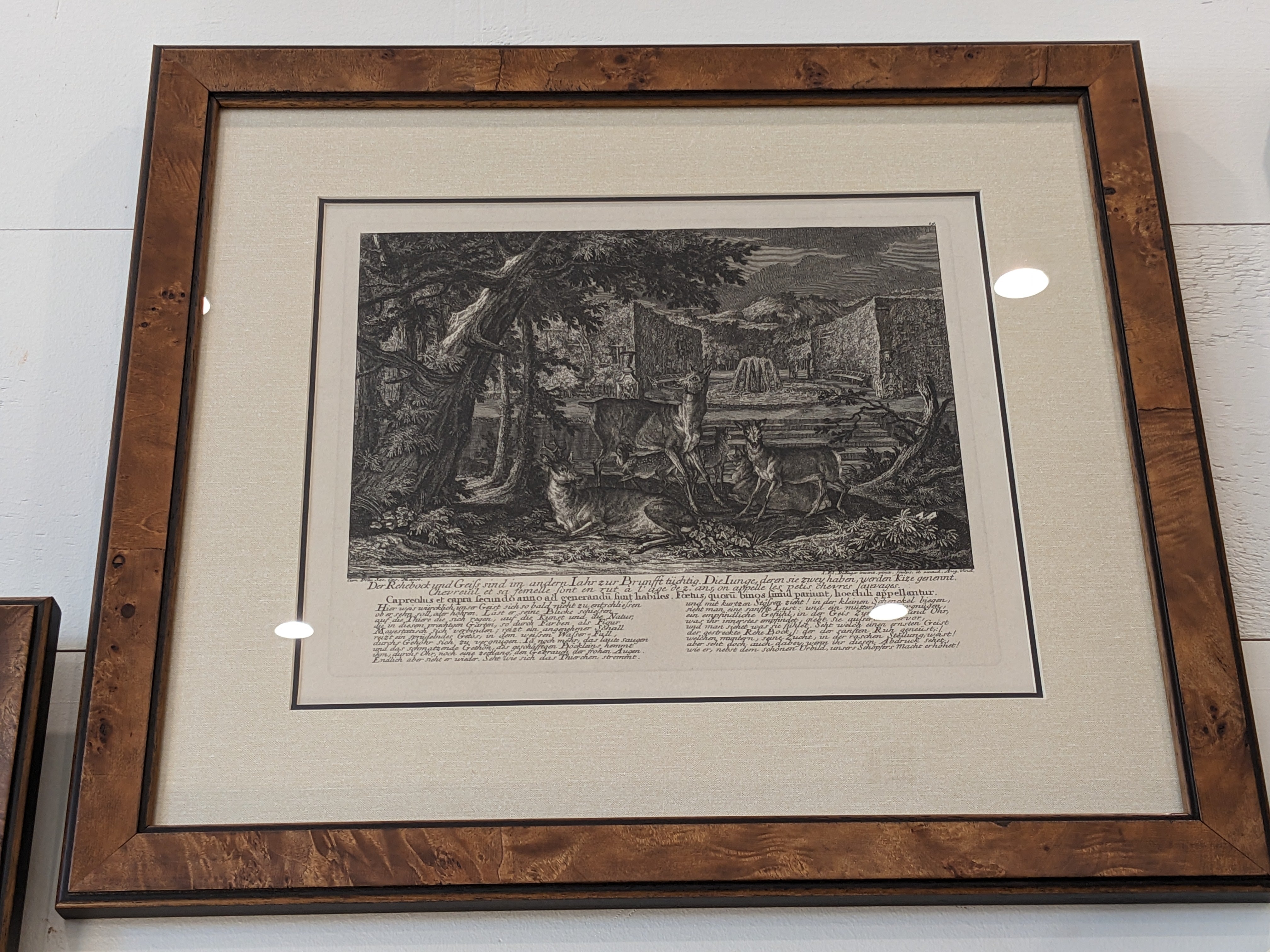 Ridinger Deer Custom Framed Print