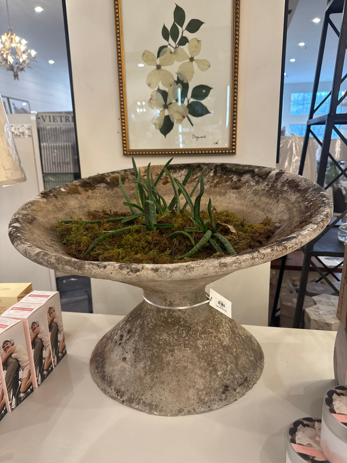 Tilted Soucoupe Planter – Treehouse On Main