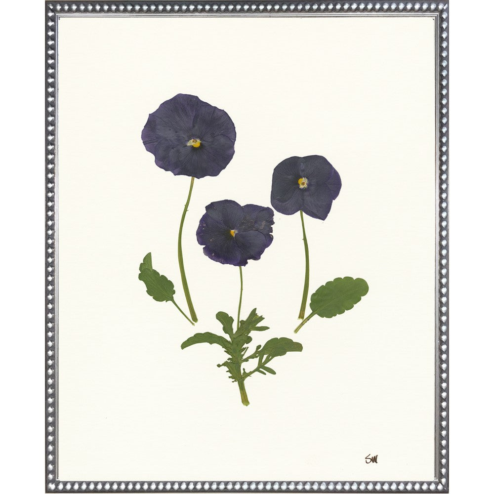 Pansies Collection Silver Frame