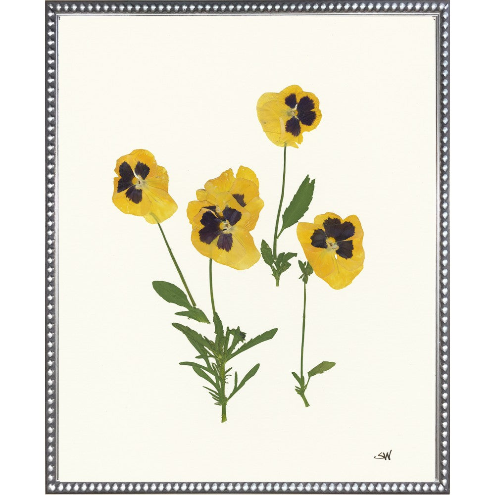 Pansies Collection Silver Frame
