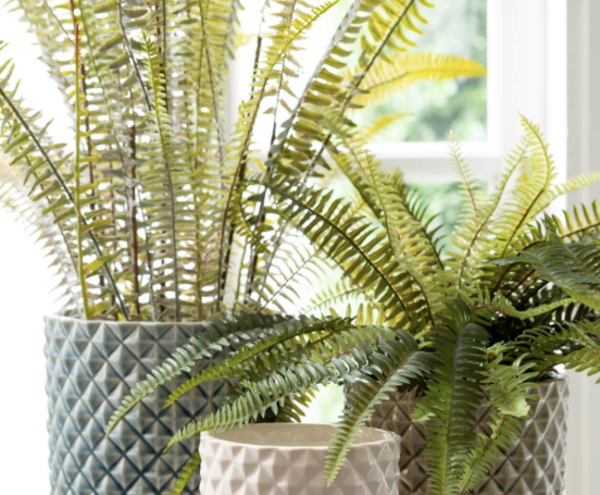 Planter Pot