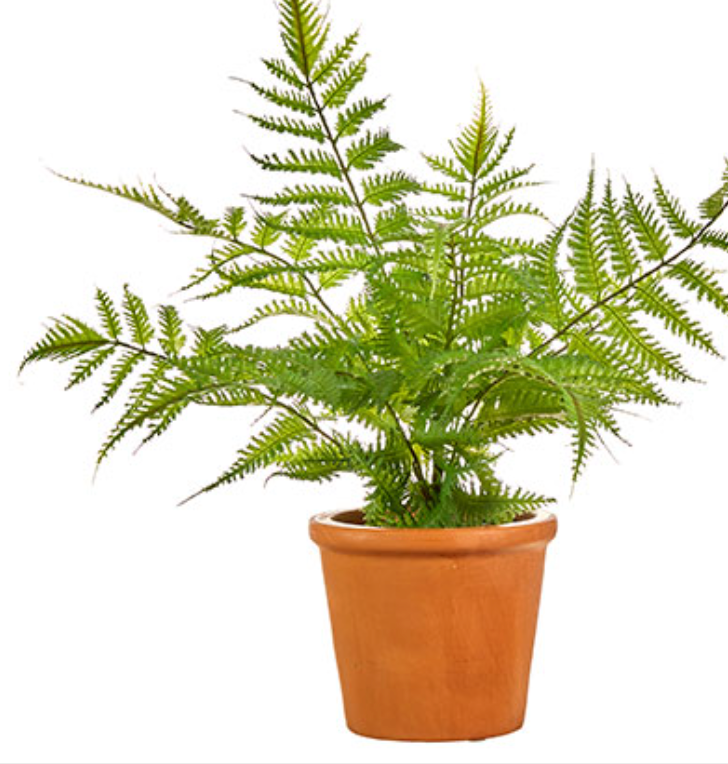 16" POTTED FERN