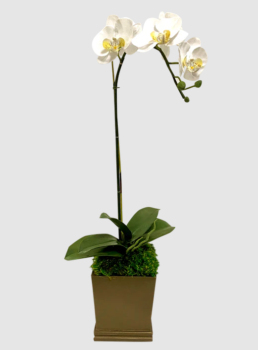 Renee Square Bronze Floral White Orchid