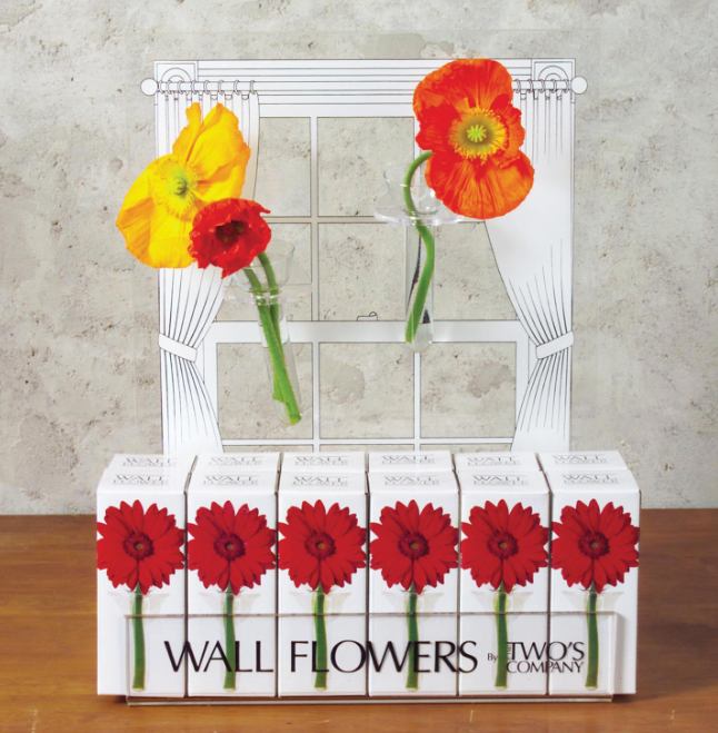 Wall Flowers Hanging Vase
