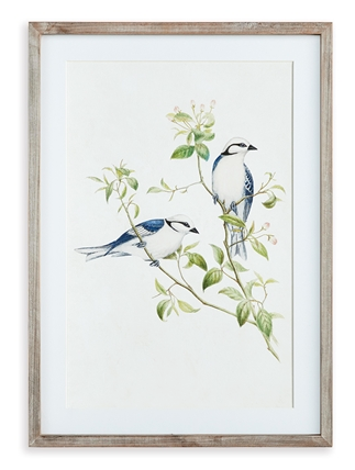 Blue Bird Framed Print