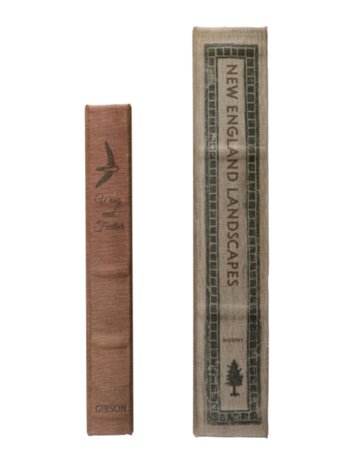 New England Book Storage Boxes - Set of 2